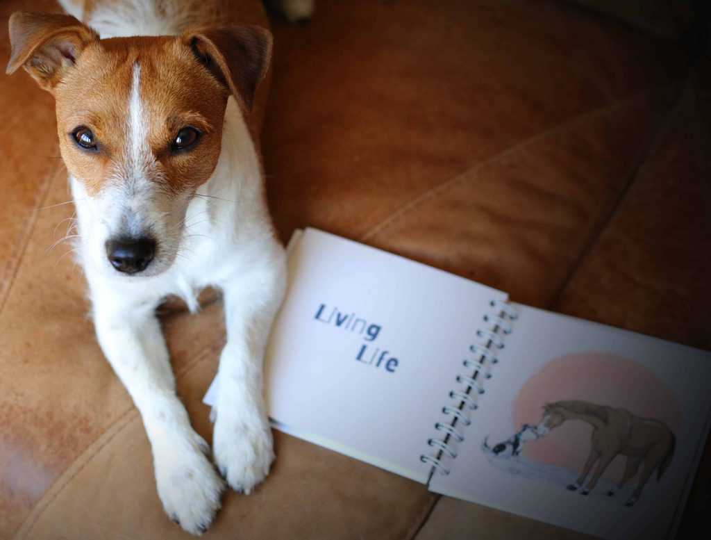 Downloadable Dog Activity Book