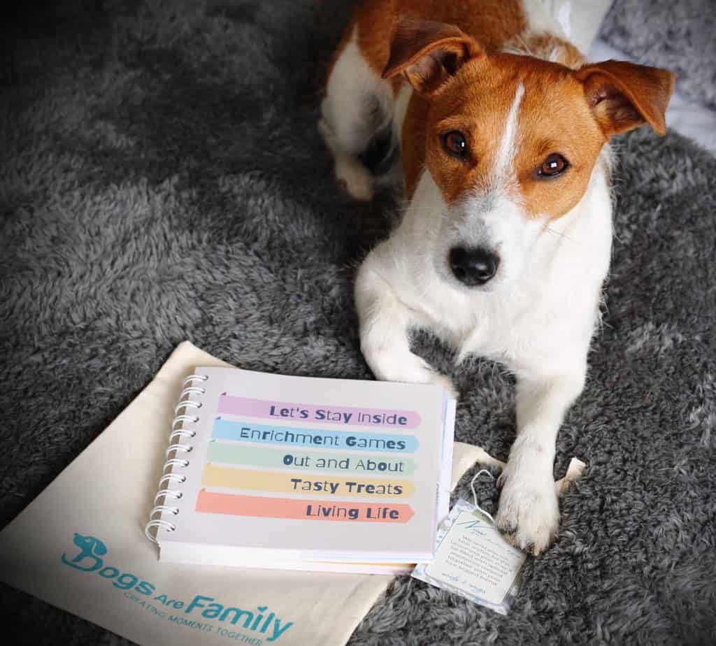Interactive Dog Memory Book Woofs Wag Wishes