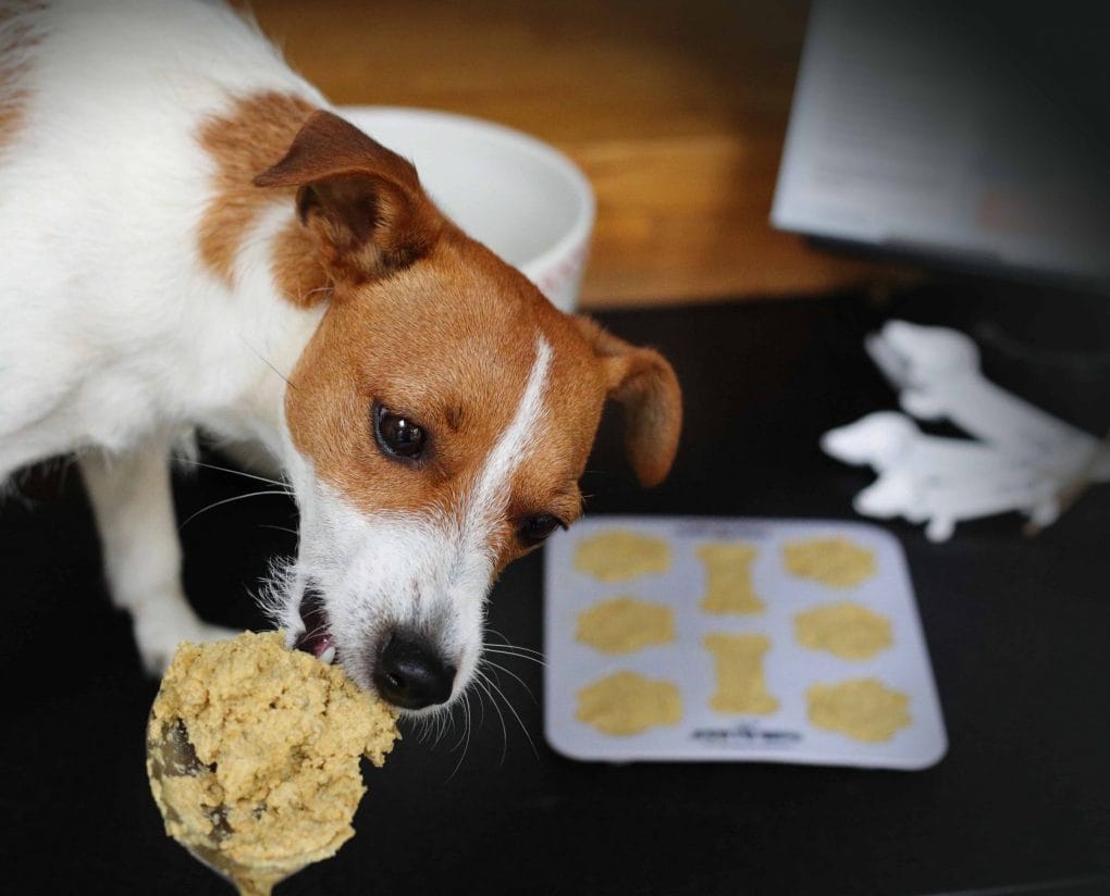 Sniffe and Likkit Home Baking Kit for Dogs