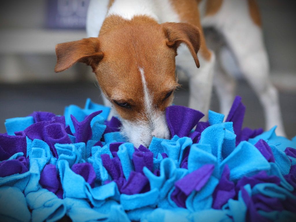 Snuffle Mats for Dogs