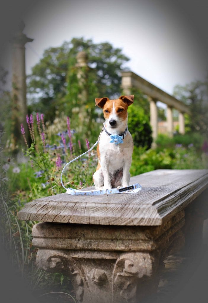 Iford Manor Gardens Dog Friendly Wiltshire