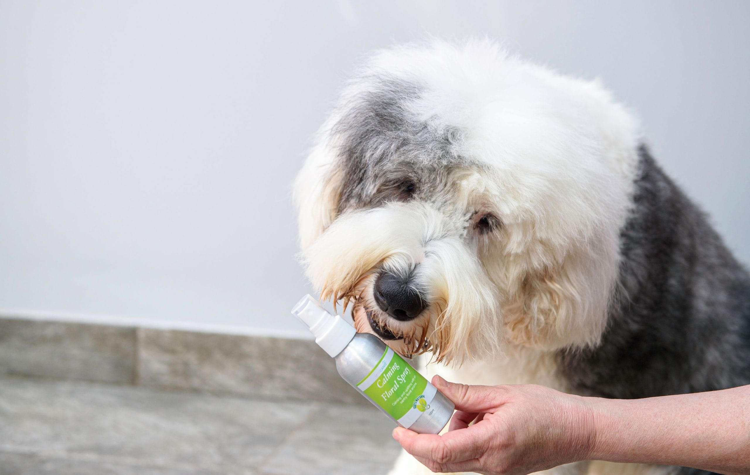Vita Canis Calming Floral Spray for Dogs