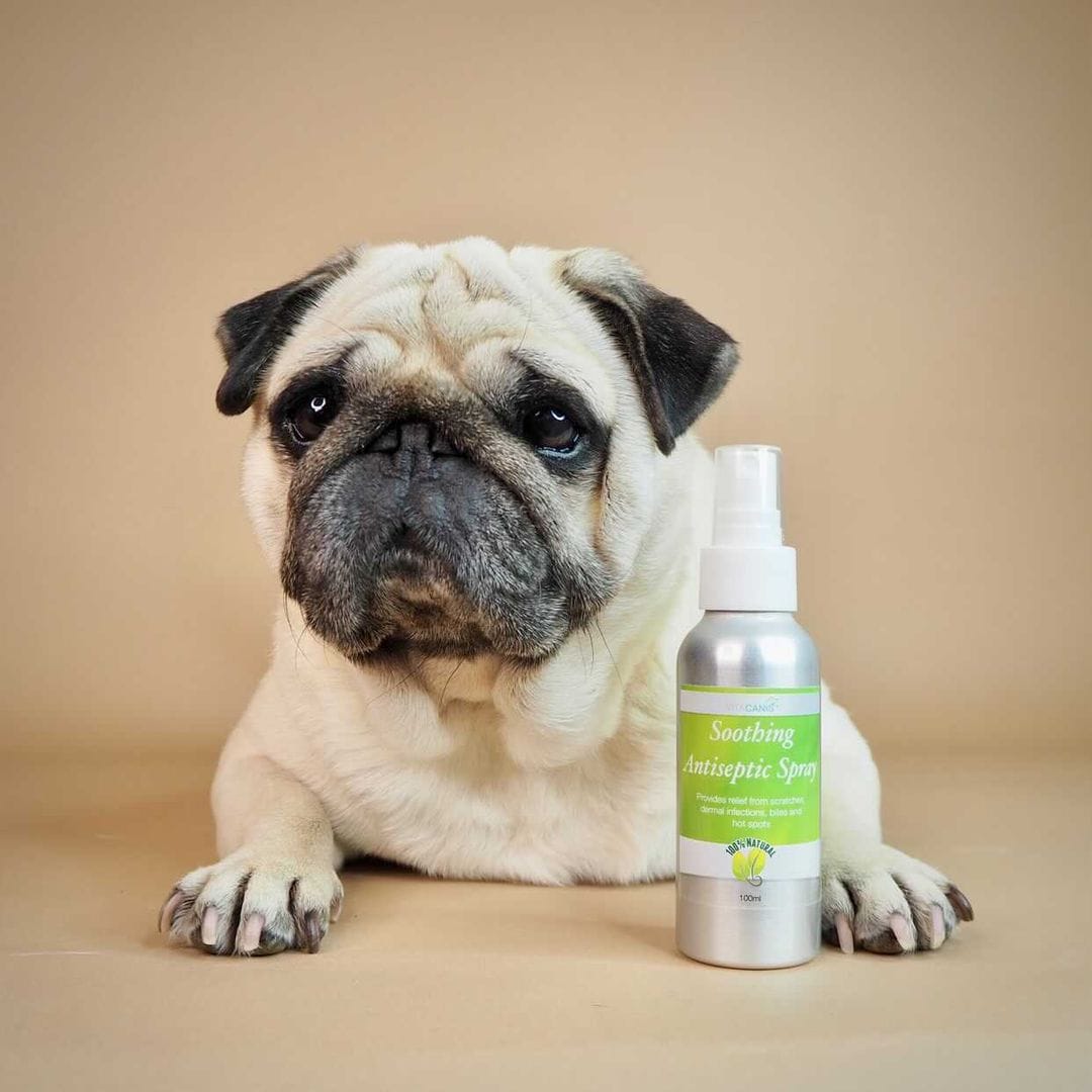 Vita Canis Soothing Antiseptic Spray for Dogs