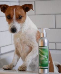 Vita Canis Skin Relief Dog Shampoo