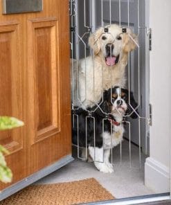 Dog Gate For Front Doors from Dog-G8
