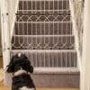Dog Gate for Stairways and Hallways from Dog-G8