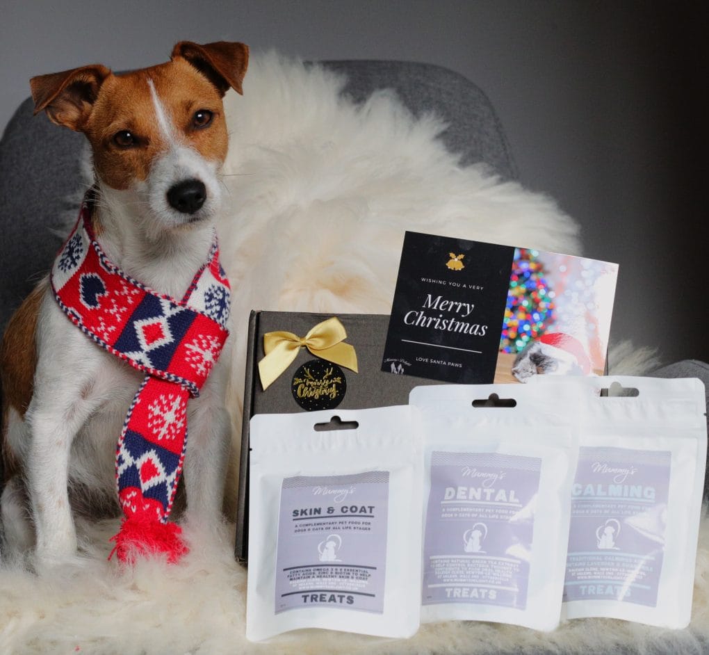 Best Christmas gifts for dogs that will make tails wag