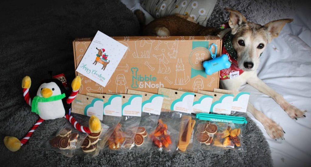 Nibble and Nosh Christmas Dog Selection Box