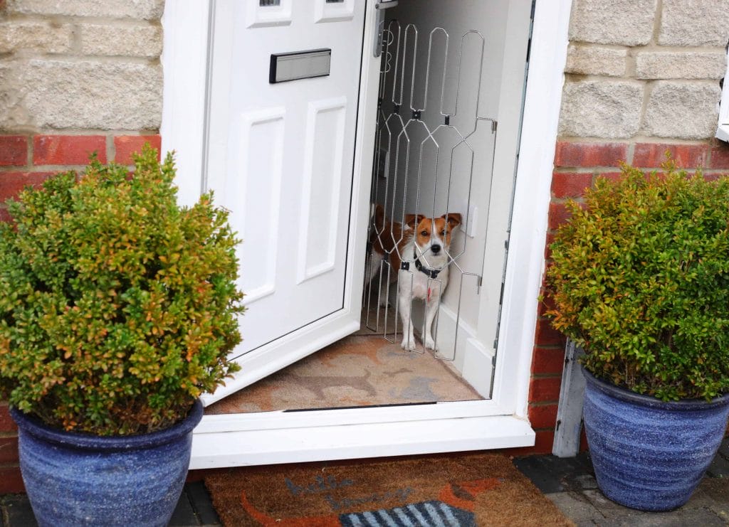 Dog G8 Dog Door Guard