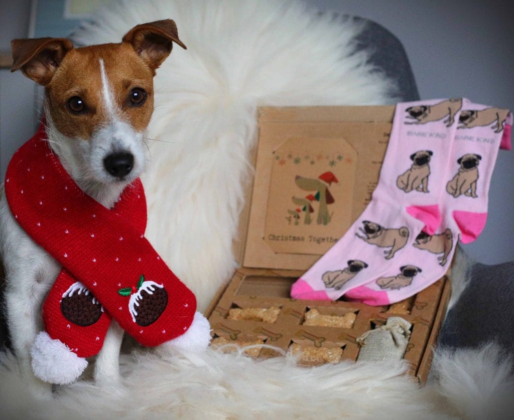 Send a Dog a Bone Sock Treat Gift Box