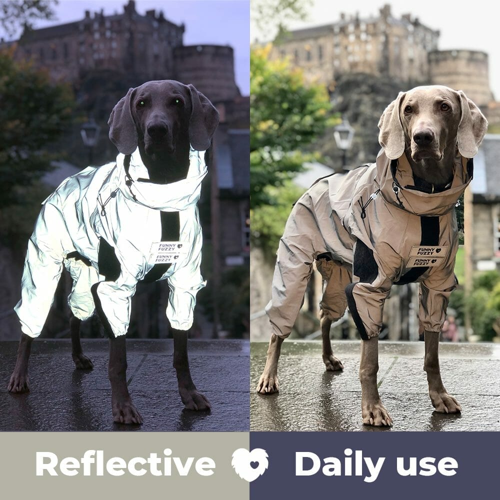 FunnyFuzzy Reflective Dog Coat
