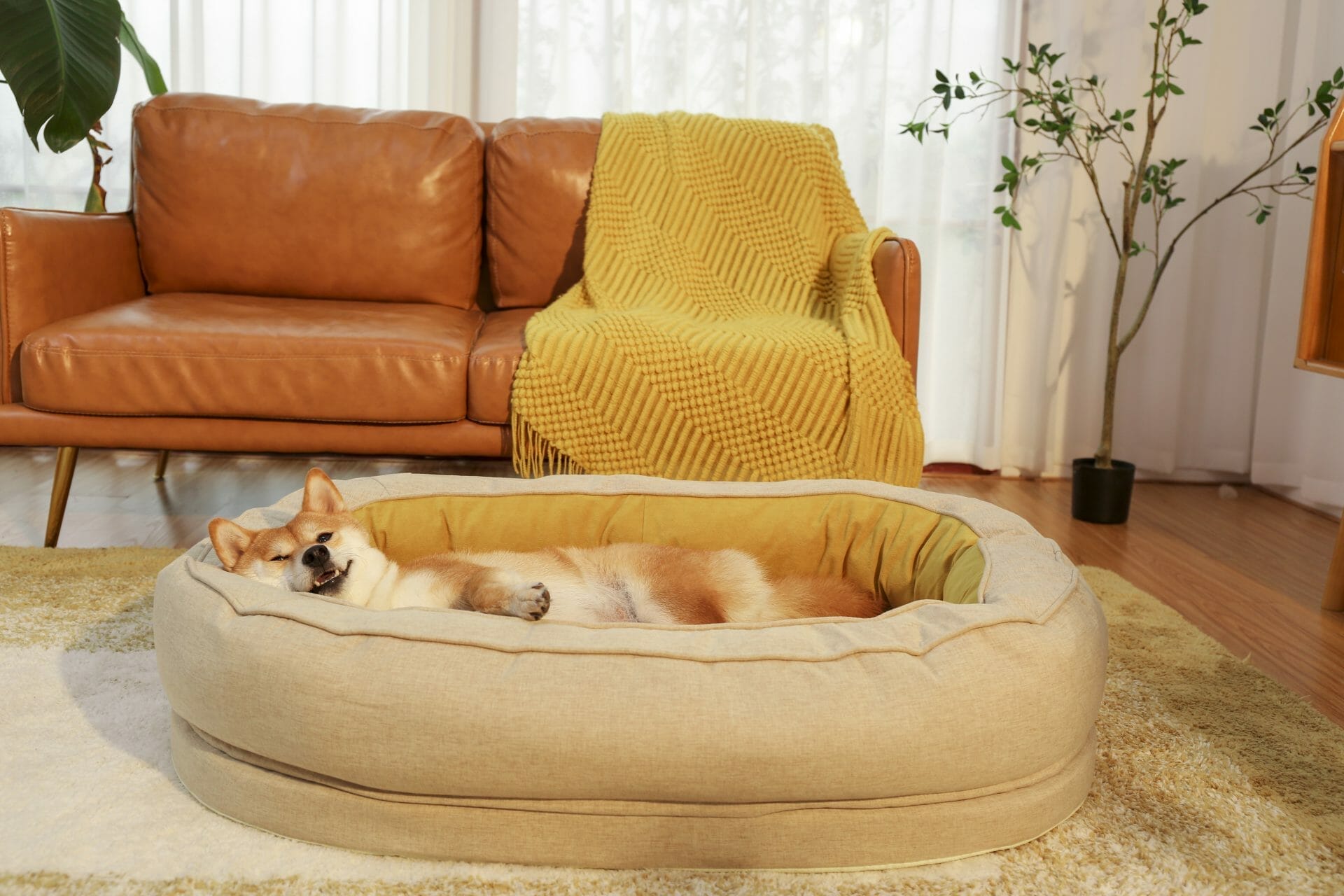 FunnyFuzzy Dog Bed
