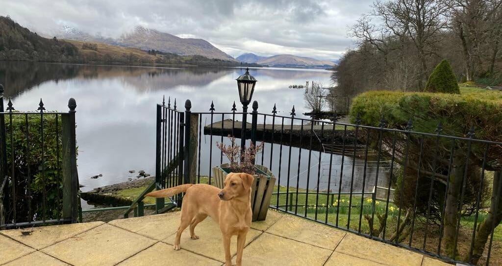 Dog ast Wilderness Hotel Loch Awe