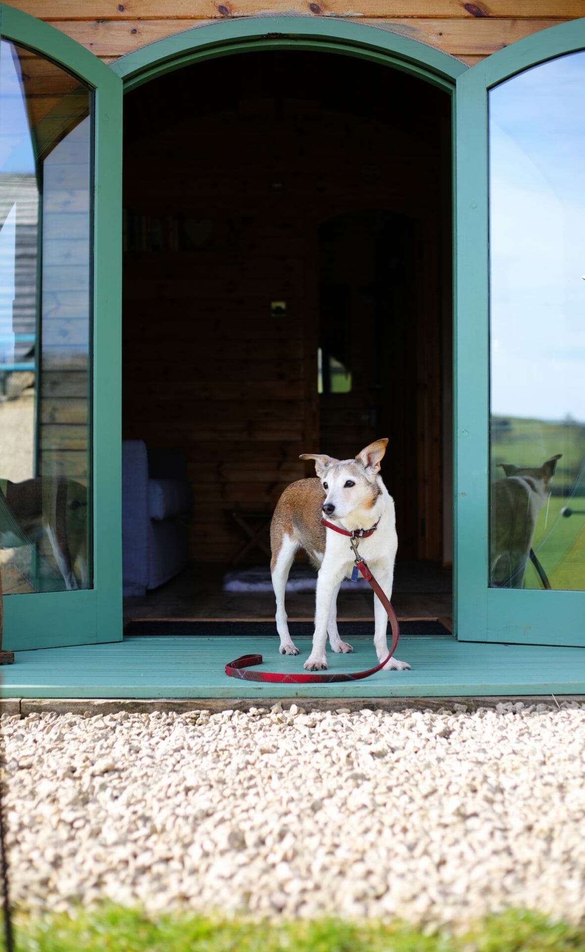 Dog Friendly Glamping Pod at Hoe Grange Holidays