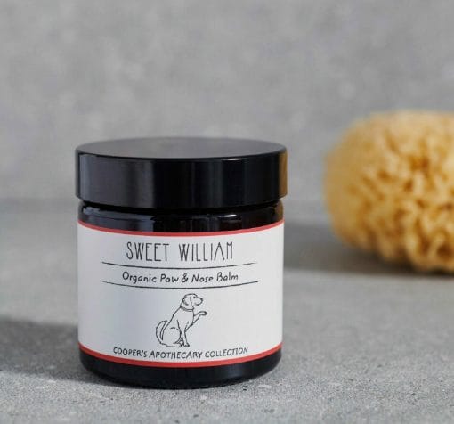 Sweet William Organic Nose And Paw Balm