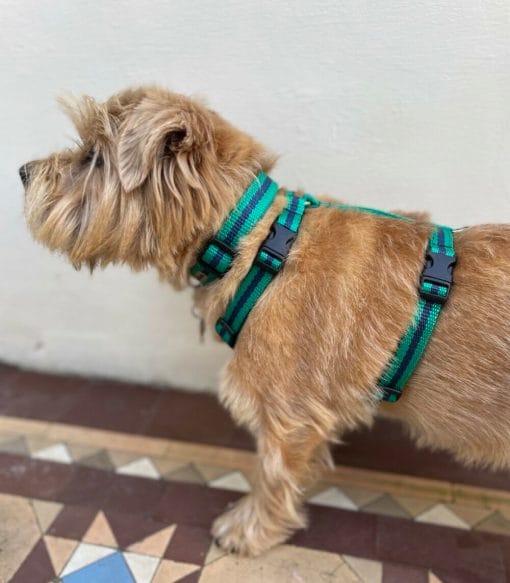 Reg&Bob Dog Harness Small/Medium