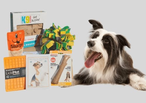 The Cognitive Canine Company - Enrichment Subscription Box for Dogs