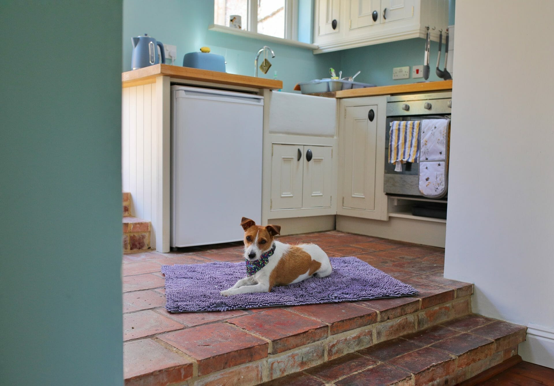 Ickle Cottager Kitchen Dog Friendly Norfolk