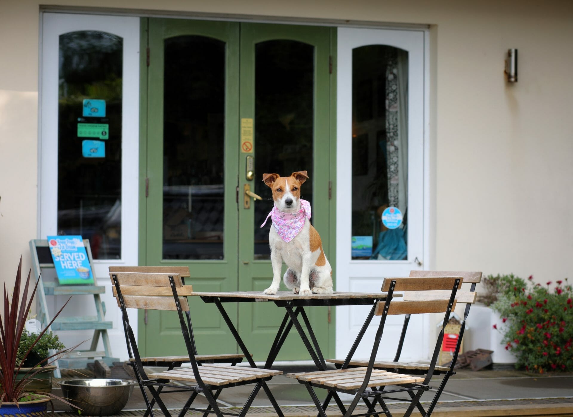 Dog Friendly Cafe and Bar at Manleigh Park