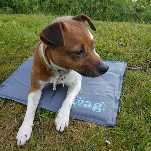 Henry Wag Cooling Mat