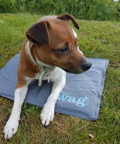 Henry Wag Cooling Mat