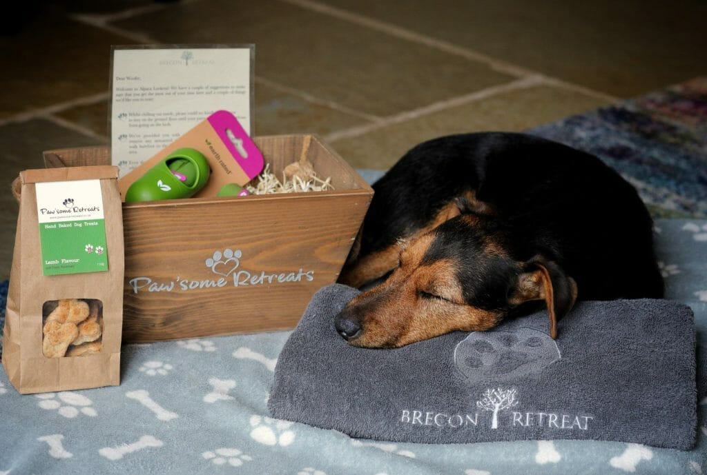 Doggy Welcome Pack at Brecon Retreat