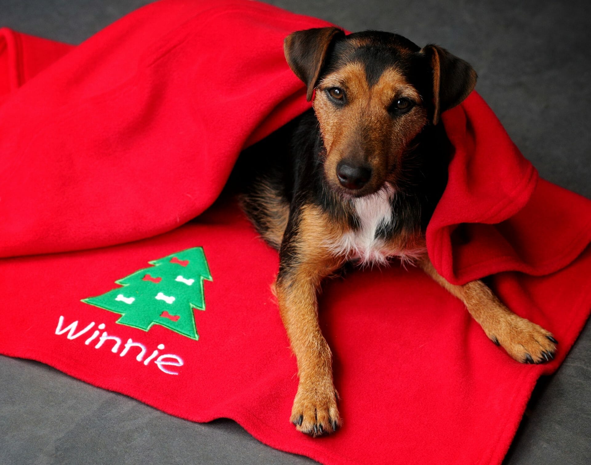 Personalised Christmas Tree Dog Blanket