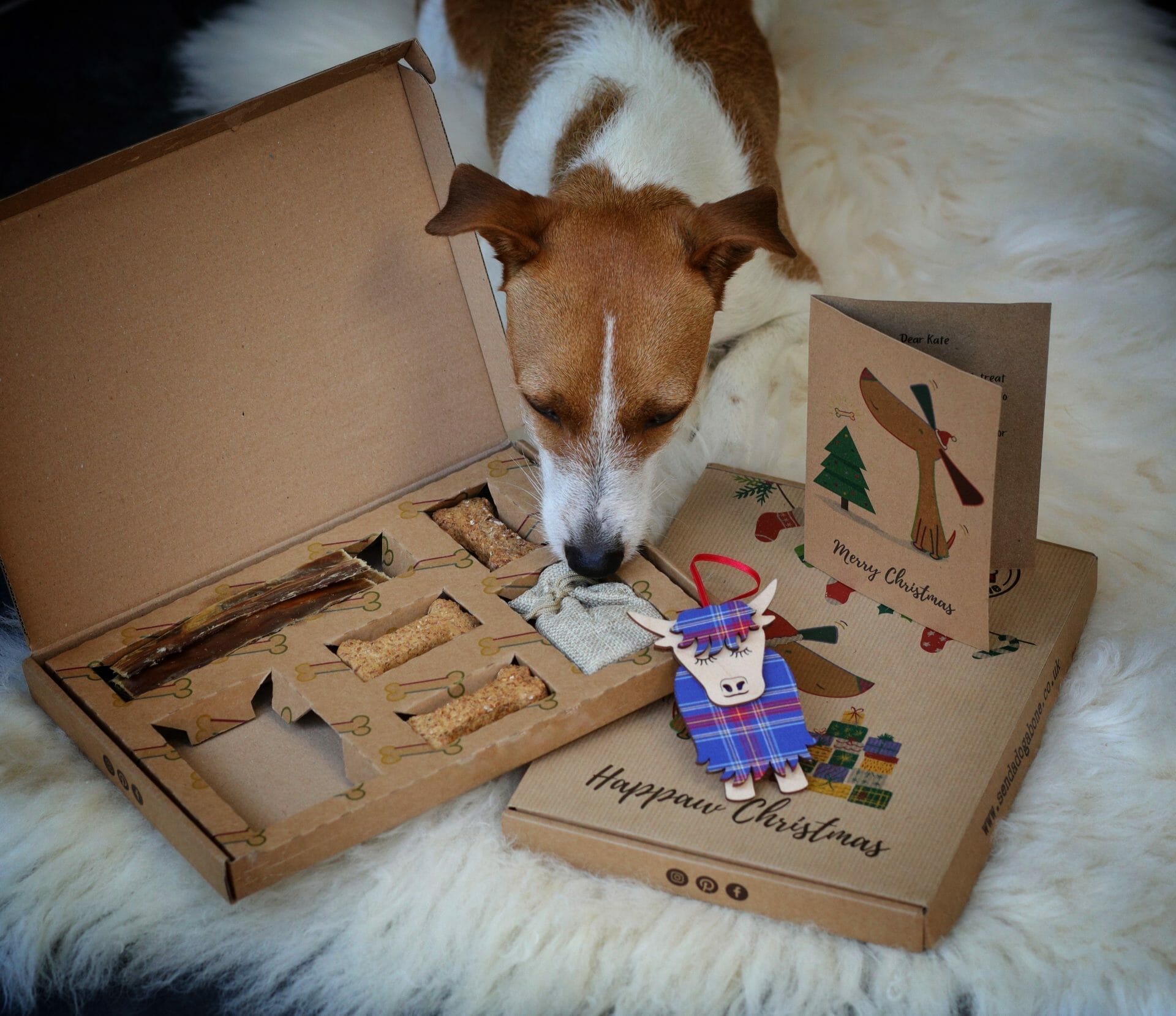 Send a Dog a Bone Christmas Gift Box 