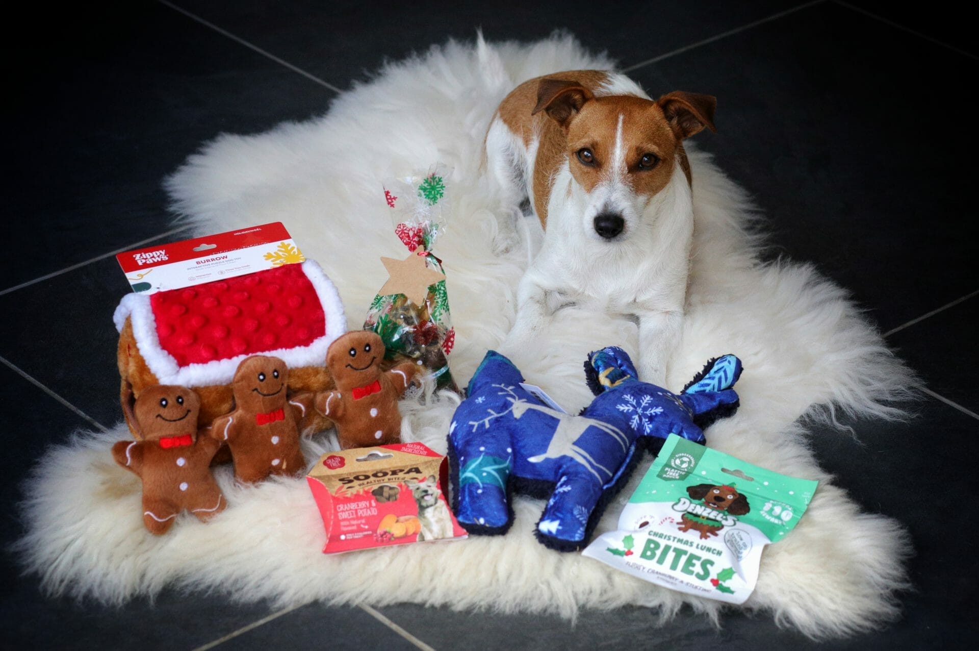 The Best Gifts for Dogs This Christmas