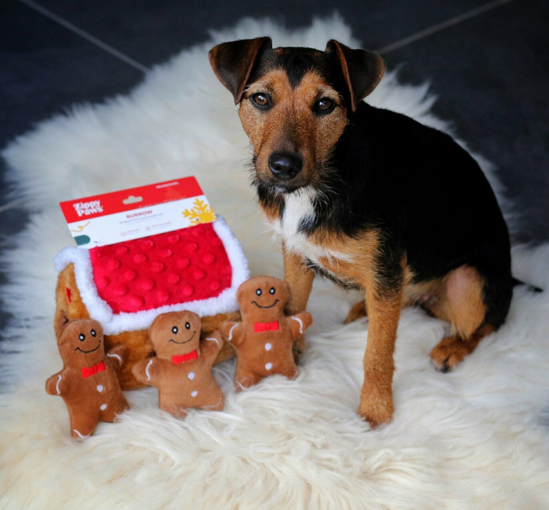 Gingerbread House Dog Toy from Cognitive Canine Company
