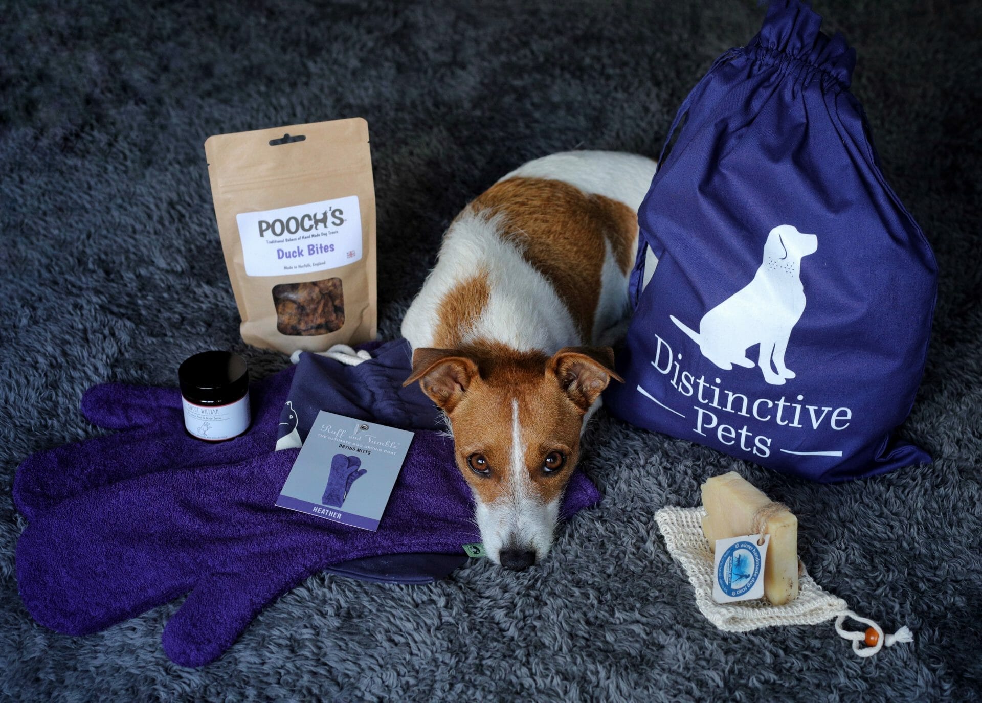 Muddy Dog Survival Kit from Distinctive Pets