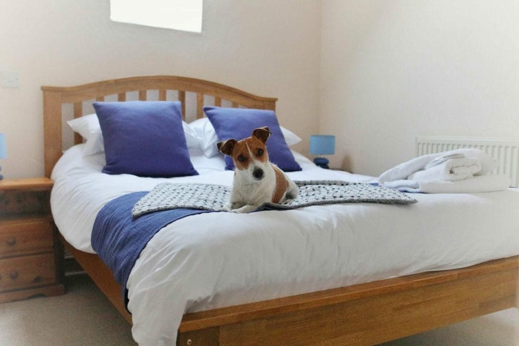 The Bedroom at Bolberry Farm Cottages Dog Friendly Salcombe