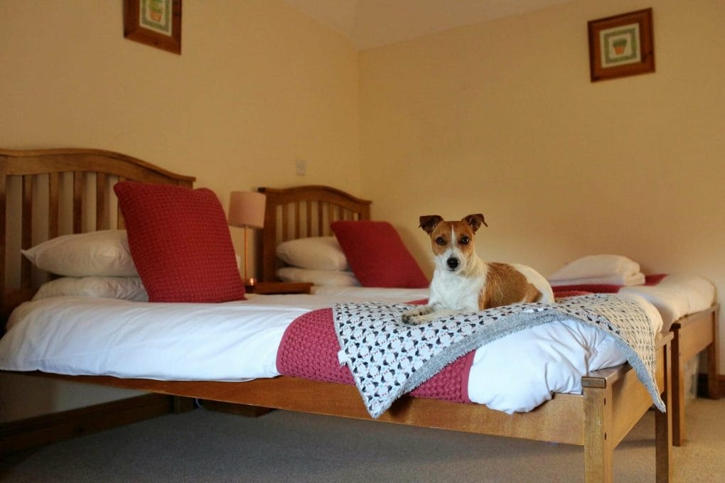 Twin Bedroom at Bolberry Farm Cottages Dog Friendly Salcombe