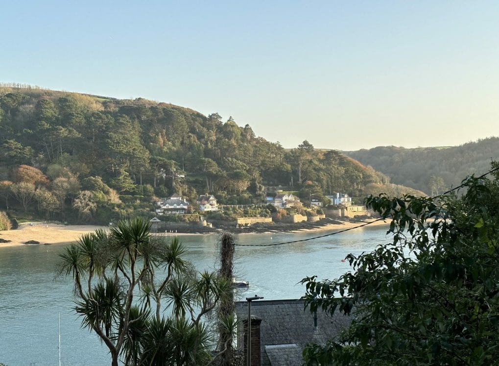 Salcombe from Above