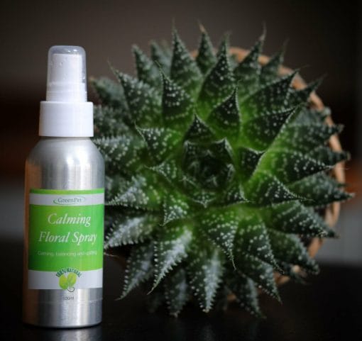 Calming Floral Spray for Dogs