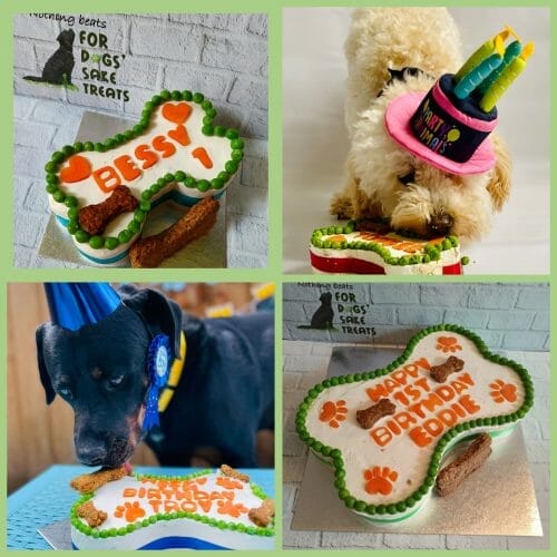 For Dog's Sake Birthday Cake
