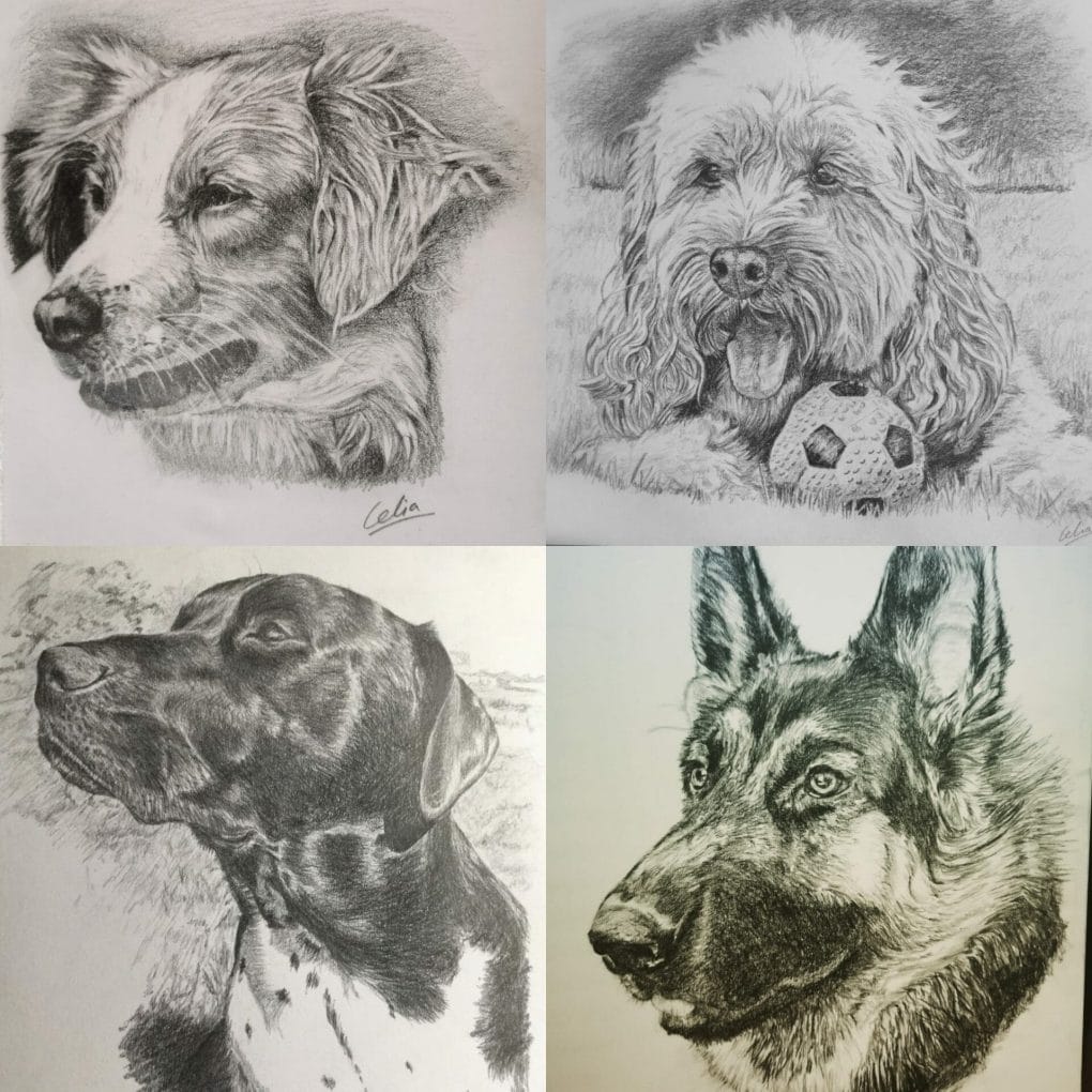 Pencil Portraits of Dogs