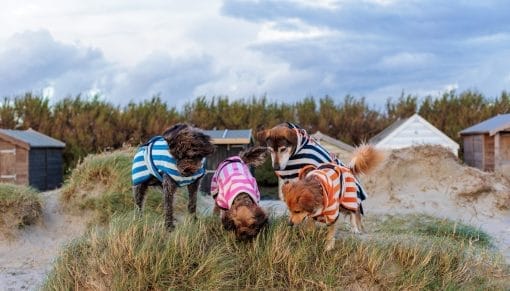 Harbour Hounds Drying Robes