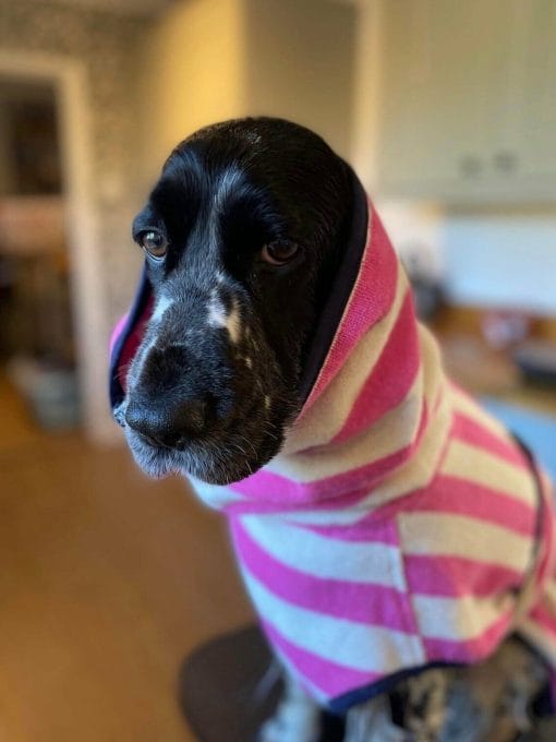 Harbour Hounds Pink Striped Dog Robe