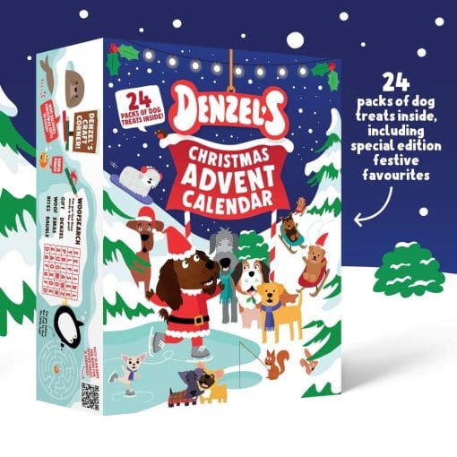 Denzels Advent Calendar