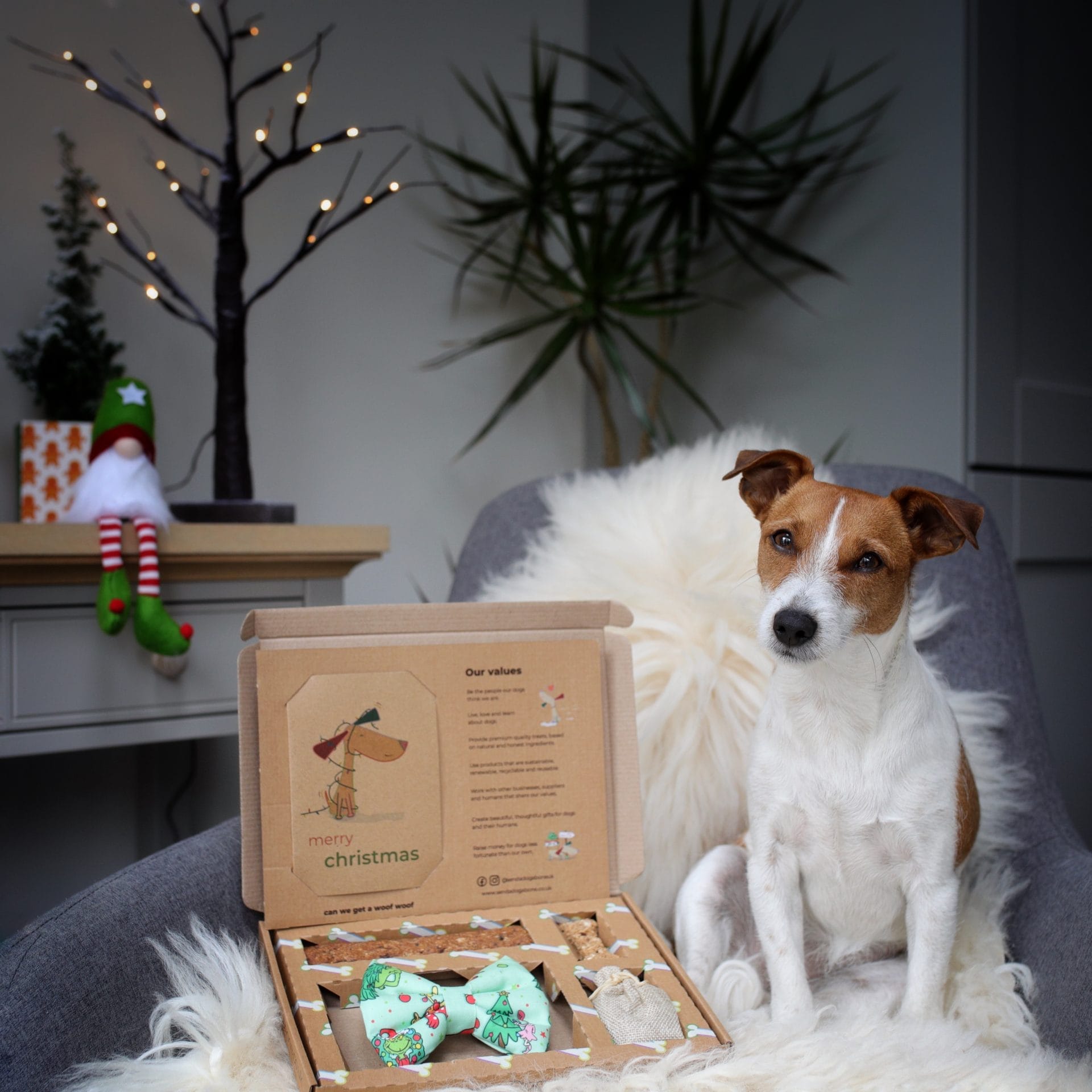 Send a Dog a Bone Christmas Gift Box