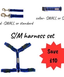 Dog harness set with small or standard collar & lead