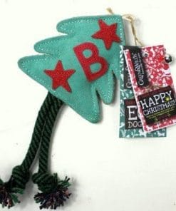 Green & Wild Bruce The Spruce Eco Dog Toy