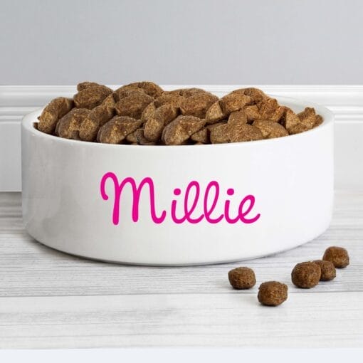 Personalised Dog Bowl with Pink Name
