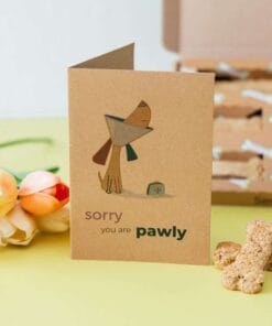 Sorry You Are Pawly Gift Box