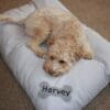 Light Grey Personalised Dog Bed (Snoozers Duvet Bed)