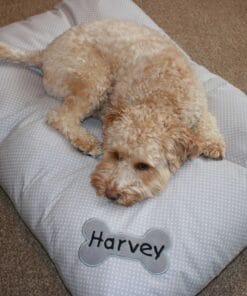 Light Grey Personalised Dog Bed (Snoozers Duvet Bed)