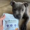 Dot Dot Pet Multifit Vitamins