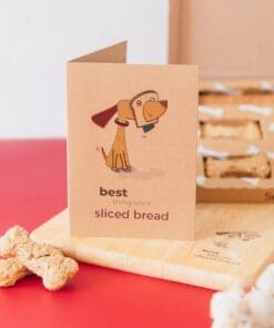 Best Thing Since Sliced Bread Gift Box For Dogs
