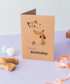 Happy Birthday Gift Box for Dogs